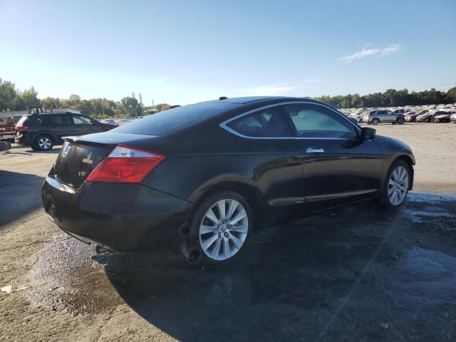 2009 Honda Accord EXL