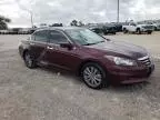 2011 Honda Accord EXL