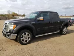 Salvage Cars with No Bids Yet For Sale at auction: 2013 Ford F150 Supercrew