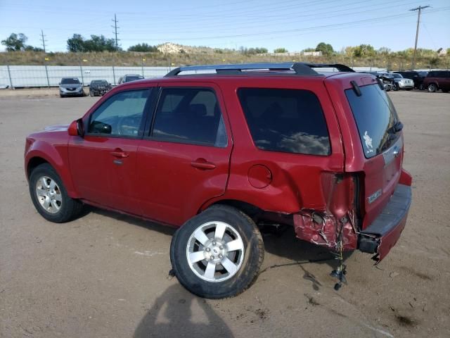 2011 Ford Escape Limited