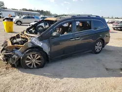 Salvage cars for sale from Copart Harleyville, SC: 2014 Honda Odyssey EXL