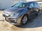 2019 Honda Odyssey EXL