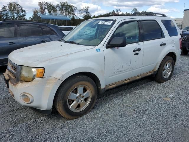 2011 Ford Escape XLT