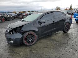 Salvage cars for sale at Eugene, OR auction: 2014 KIA Rio EX