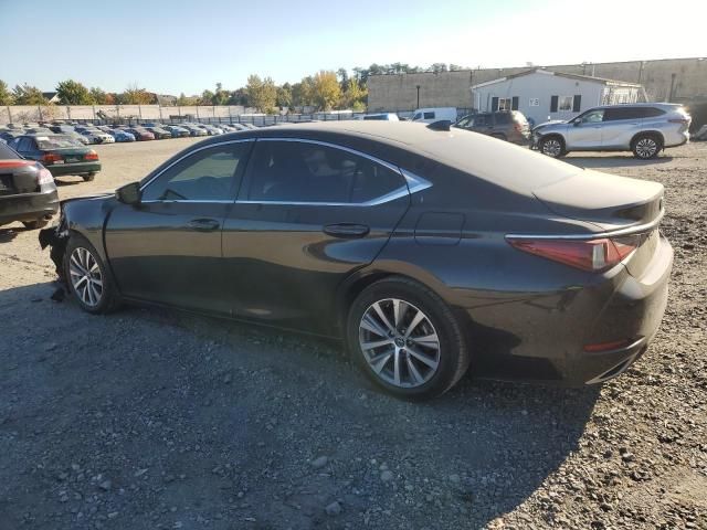 2019 Lexus ES 350