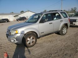 Ford salvage cars for sale: 2008 Ford Escape XLS