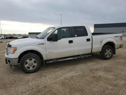 Salvage trucks for sale at Nisku, AB auction: 2013 Ford F150 Supercrew