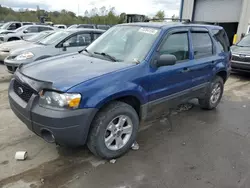 Salvage cars for sale at Duryea, PA auction: 2007 Ford Escape XLT