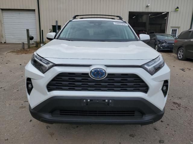 2024 Toyota Rav4 XLE Premium