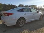 2015 Hyundai Sonata ECO