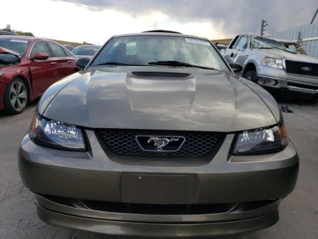 2002 Ford Mustang