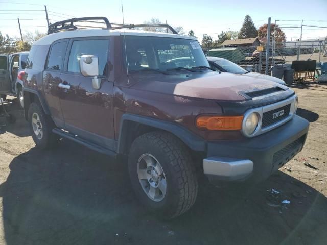 2008 Toyota FJ Cruiser