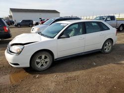 Salvage cars for sale at Portland, MI auction: 2004 Chevrolet Malibu Maxx LS