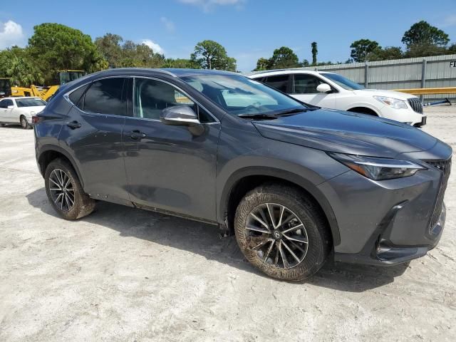 2025 Lexus NX 250 Premium