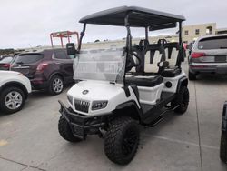 2024 Hdkp Golf Cart en venta en Riverview, FL