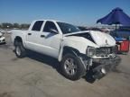 2011 Dodge Dakota SLT