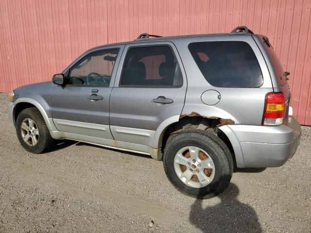 2007 Ford Escape XLT