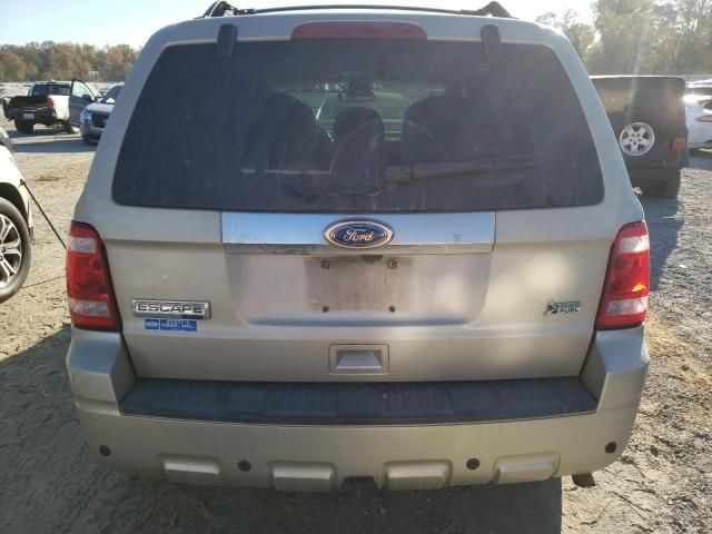 2012 Ford Escape Limited