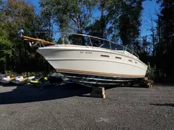 Salvage boats for sale at Cookstown, ON auction: 1978 Sea Ray Boat