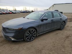 Vehiculos salvage en venta de Copart Rocky View County, AB: 2023 Honda Accord Touring Hybrid