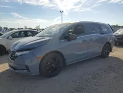 Honda Odyssey sp salvage cars for sale: 2023 Honda Odyssey SPORT-L