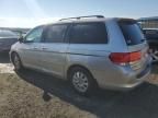 2008 Honda Odyssey EXL