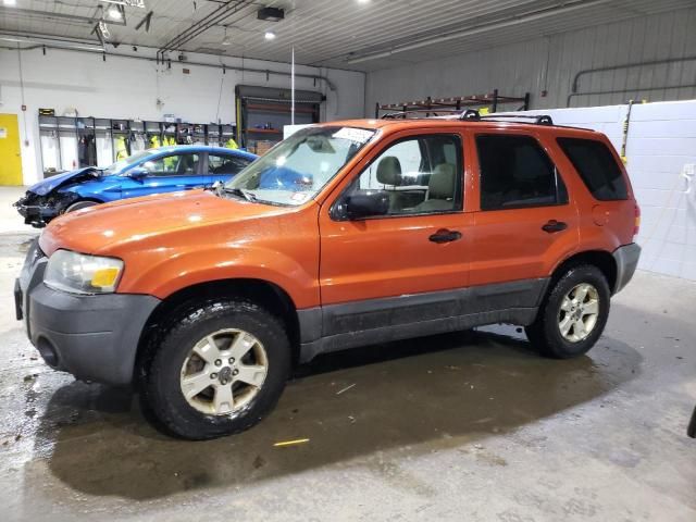 2006 Ford Escape XLT