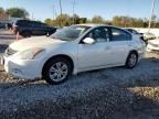 2010 Nissan Altima Base