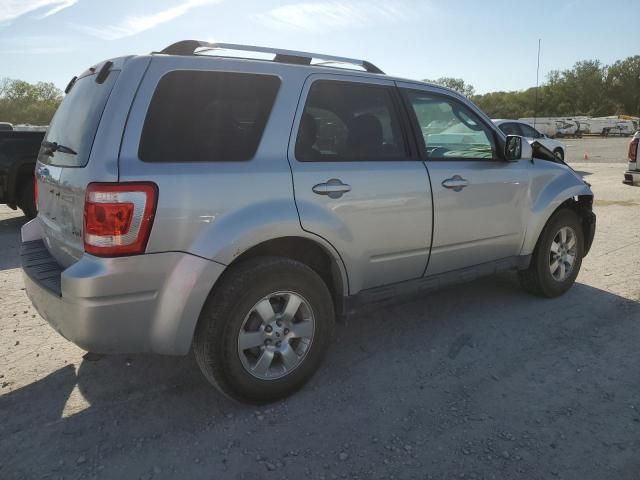 2011 Ford Escape Limited