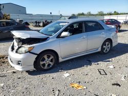 Salvage cars for sale from Copart Earlington, KY: 2011 Toyota Corolla Base