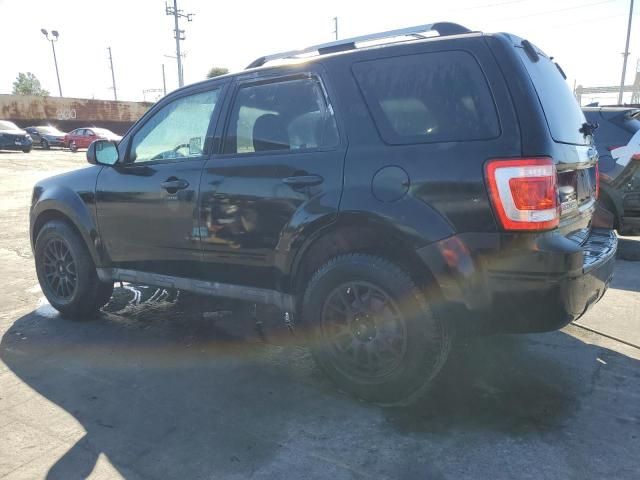 2010 Ford Escape Limited