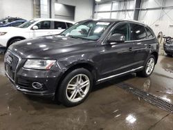 Salvage cars for sale at Ham Lake, MN auction: 2014 Audi Q5 Premium Plus