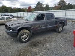 Dodge Vehiculos salvage en venta: 2003 Dodge Dakota Quad Sport