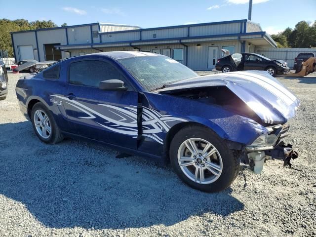 2013 Ford Mustang