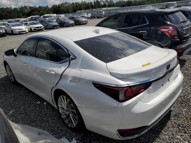 2019 Lexus ES 300H