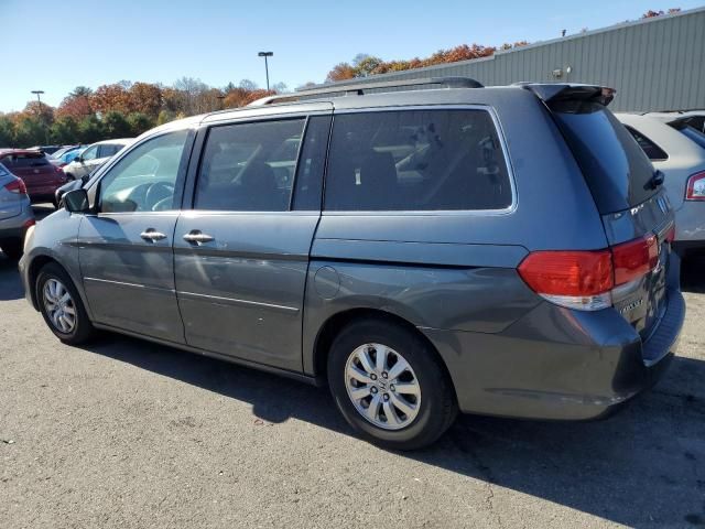 2010 Honda Odyssey EXL