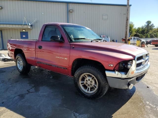 1999 Dodge Dakota