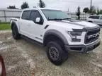 2019 Ford F150 Raptor