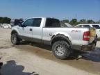 2004 Ford F150