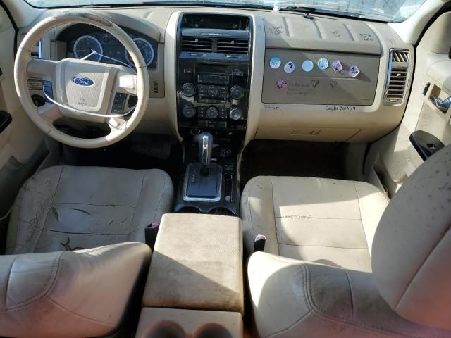 2010 Ford Escape Limited