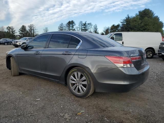 2011 Honda Accord EXL