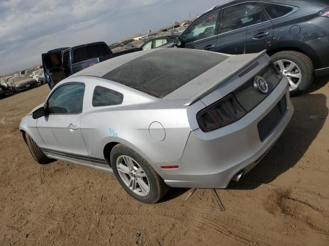 2013 Ford Mustang