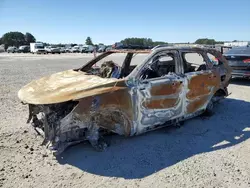 Salvage cars for sale at Lumberton, NC auction: 2023 KIA Sorento SX