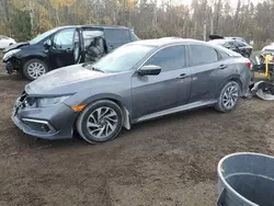 Honda Civic ex Vehiculos salvage en venta: 2019 Honda Civic EX