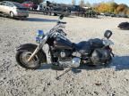 2006 Harley-Davidson Flstci