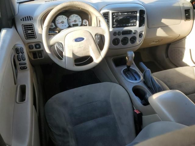 2006 Ford Escape XLT