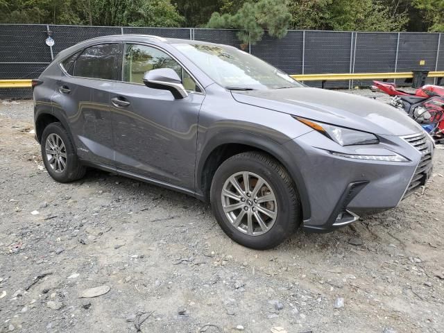 2020 Lexus NX 300H