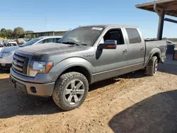 Salvage SUVs for sale at auction: 2014 Ford F150 Supercrew