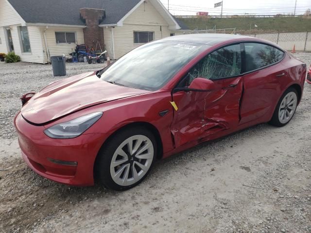 2021 Tesla Model 3