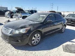 Salvage cars for sale at Haslet, TX auction: 2008 Honda Accord EXL